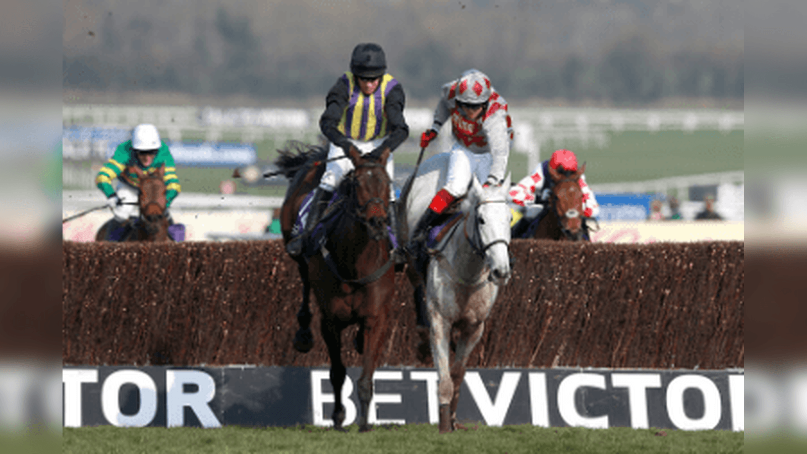 Brown Advisory Novices' Chase 2024 Trends for Cheltenham Festival