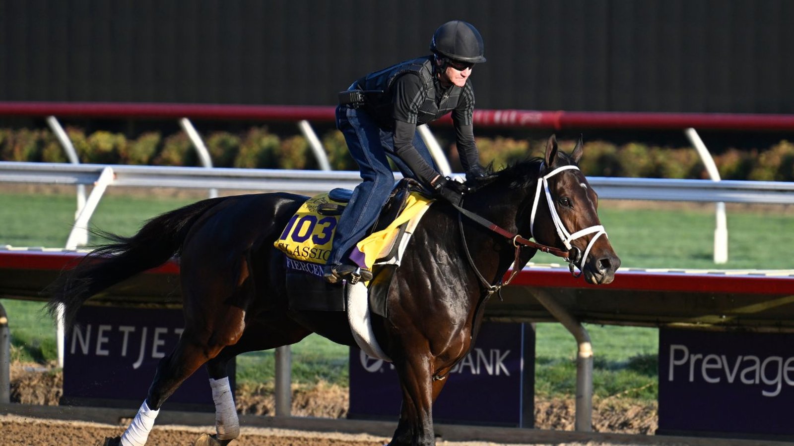 2024 Breeders' Cup Picks, Best Bets & Predictions