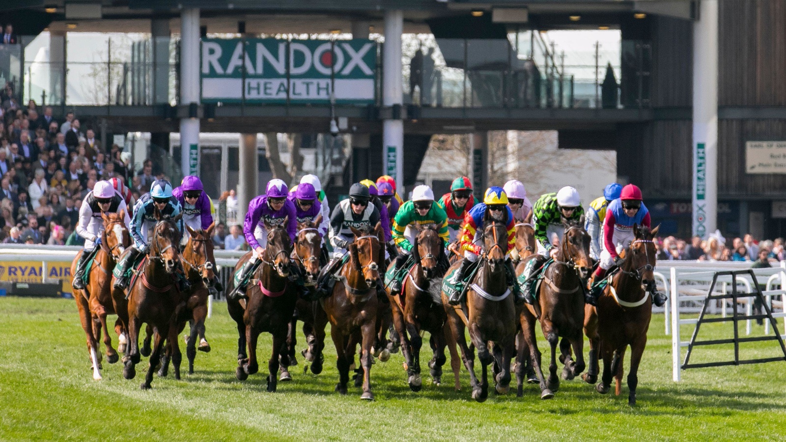 Best Grand National 2024 eachway bets, tips and finishing places that