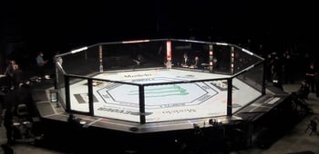 UFC Vegas 38: Santos Vs Walker Odds, Tips & Predictions