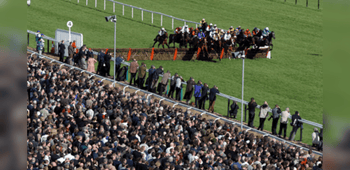 Cheltenham November Meeting Key Stats, Trends & Pointers