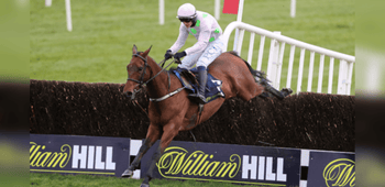 Tingle Creek Chase Trends and Runner-by-Runner Guide