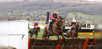 Albert Bartlett Trends for the 2024 Cheltenham Festival