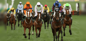 Stayers' Hurdle Trends For The 2024 Cheltenham Festival