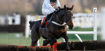 Tolworth Novices' Hurdle Betting Trends and Big Race Verdict