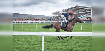 Lincoln Handicap Trends, Tips & Betting Analysis