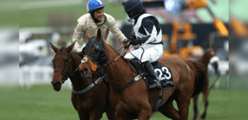 Foxhunter Chase Trends for the 2024 Cheltenham Festival