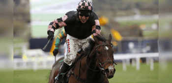 County Hurdle Trends For The 2024 Cheltenham Festival