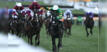 Martin Pipe Handicap Hurdle 2024 Trends For The Cheltenham Festival