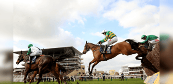 Turners Novices' Chase Trends for 2024 Cheltenham Festival