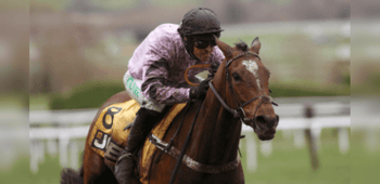 Triumph Hurdle Trends for the 2024 Cheltenham Festival