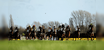 Betfair Hurdle Betting Trends and Big Race Verdict