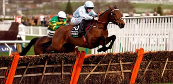 Betting Favourites To Oppose At The 2023 Cheltenham Festival