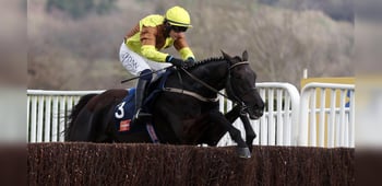 Cheltenham Gold Cup Ante-Post Tips, Odds & Analysis