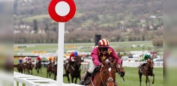 Forgiveness The Key To The Cheltenham Gold Cup