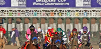 Breeders' Cup Names FanDuel & TVG Official Wagering Partners