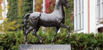 Breeders’ Cup 2021 Odds, Classic Picks, Tips & Betting Preview