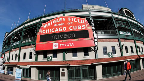 You can buy dried Wrigley Field ivy for $200