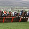 Coral Cup Trends for the 2025 Cheltenham Festival