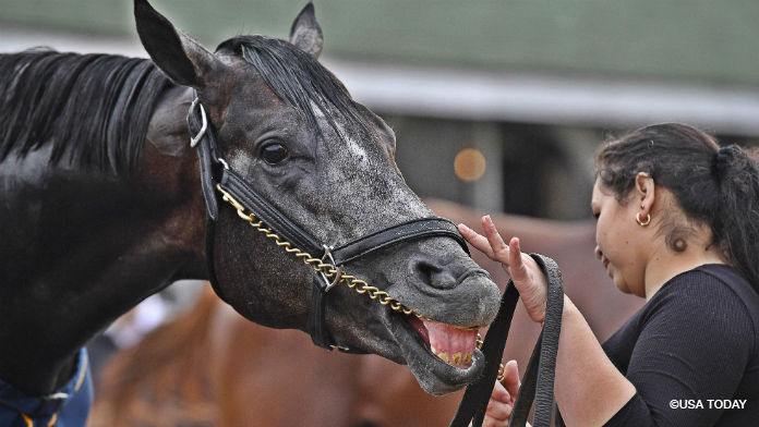 Badder Beats 25: Kentucky Derby, Jersey Law