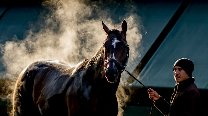 Preakness Stakes Betting Tips, Odds & Horses You Should Back