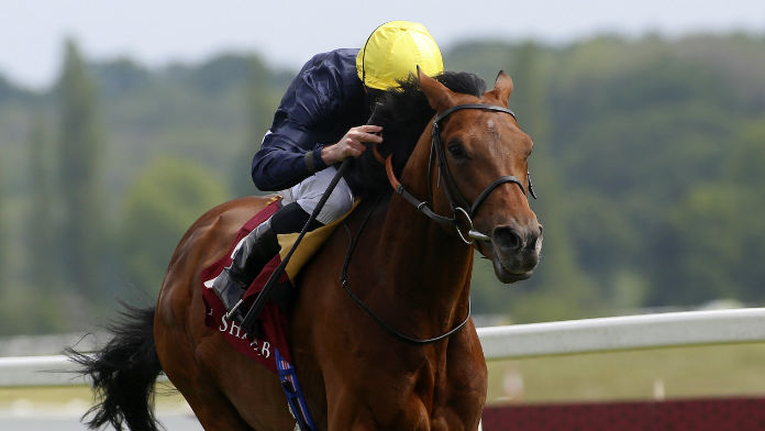 Royal Ascot: Crystal Ocean Odds Cut As Dettori is Confirmed