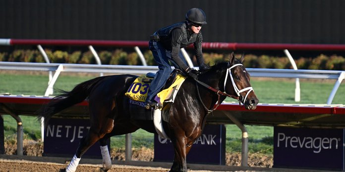 2024 Breeders' Cup Picks, Best Bets & Predictions