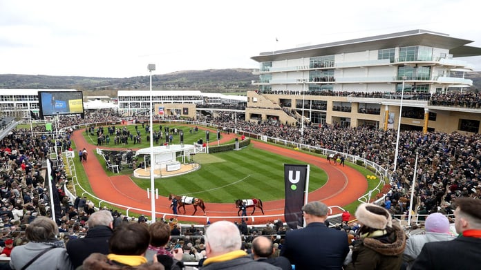 Arkle Novices' Chase Trends: Cheltenham Festival 2025