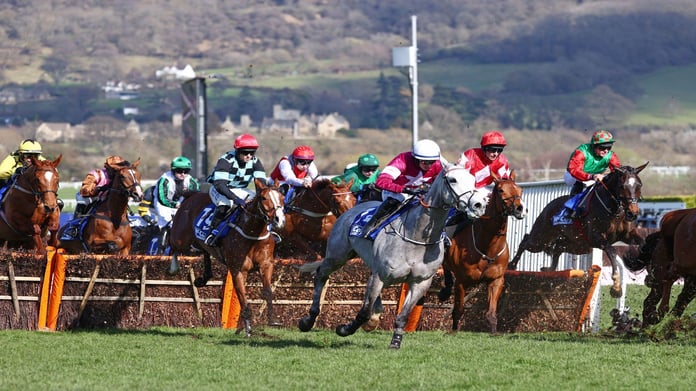 Cheltenham Festival Free Bets for Day 2 2025: Biggest Horse Racing Betting Offers