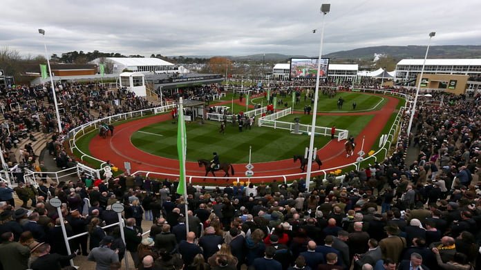 Cheltenham Free Bets for Festival Day 2 2025: Top 10 Biggest Horse Racing Betting Offers