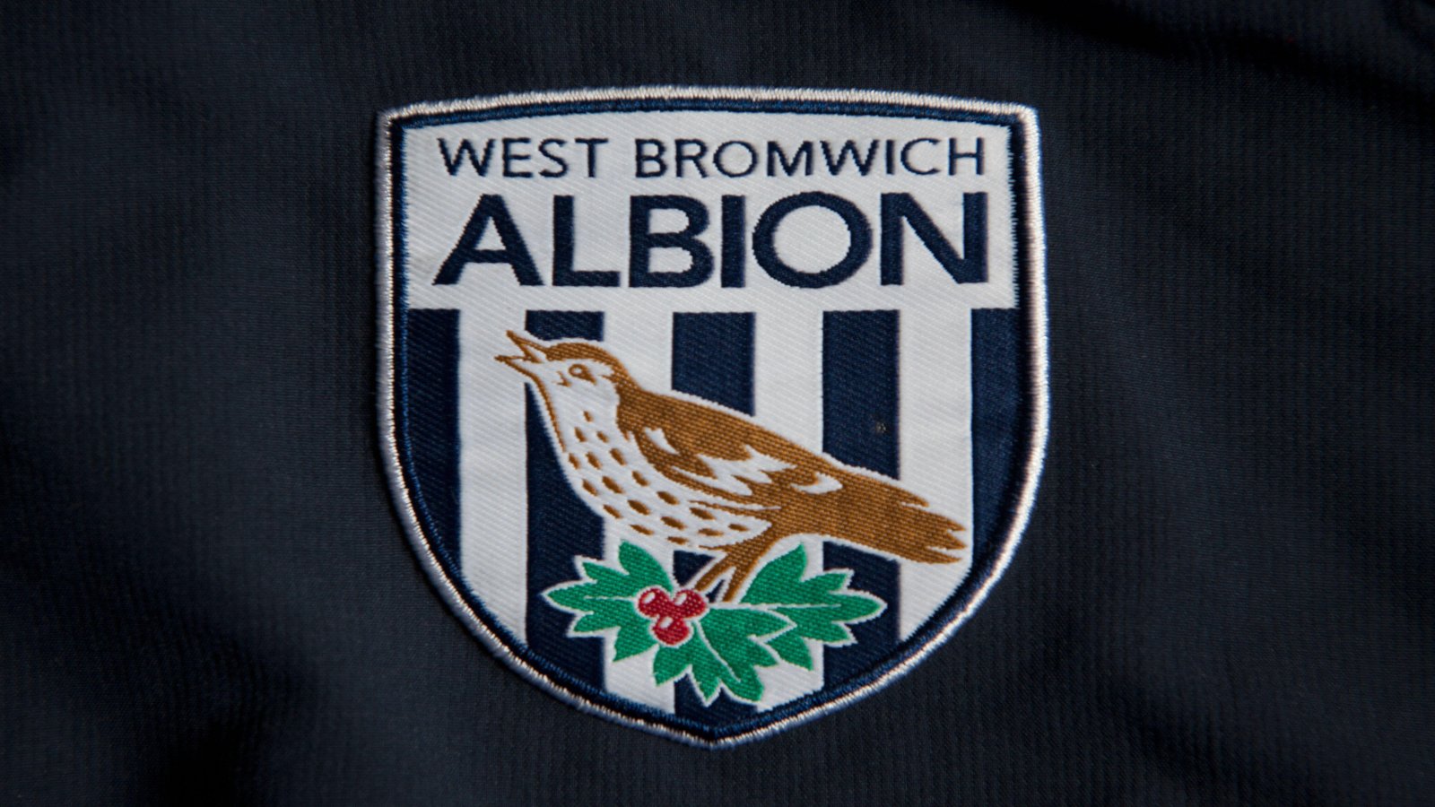 Next West Brom Manager Odds - Carsley, Carrick, Martin Early Favourites