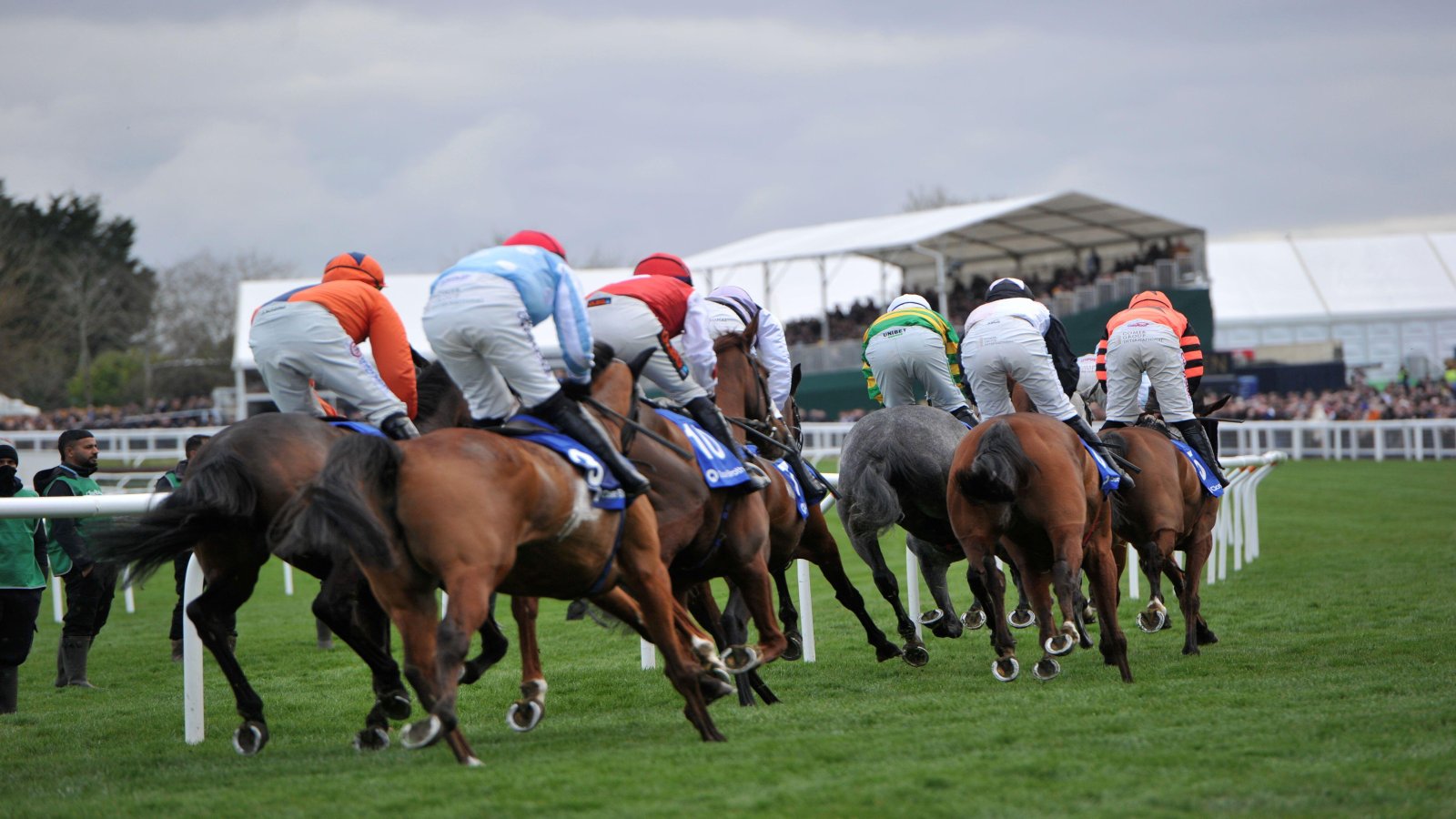 Ladbrokes Cheltenham Festival Free Bets, Betting Offers March 2026: Get £30 in Free Bets