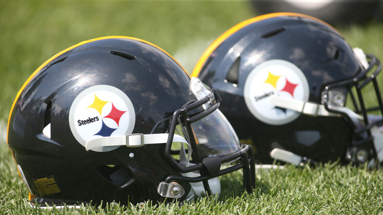 Steelers and FanDuel Agree on Newest NFL-DFS Partnership