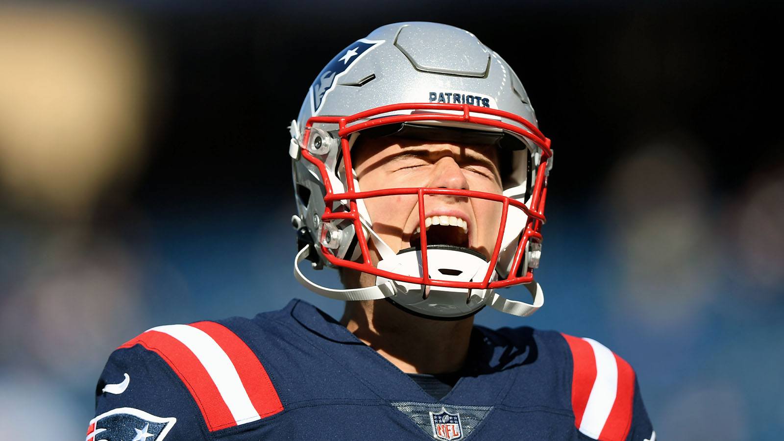 NFL Week 7 Betting Recap: Public Continues Winning Streak