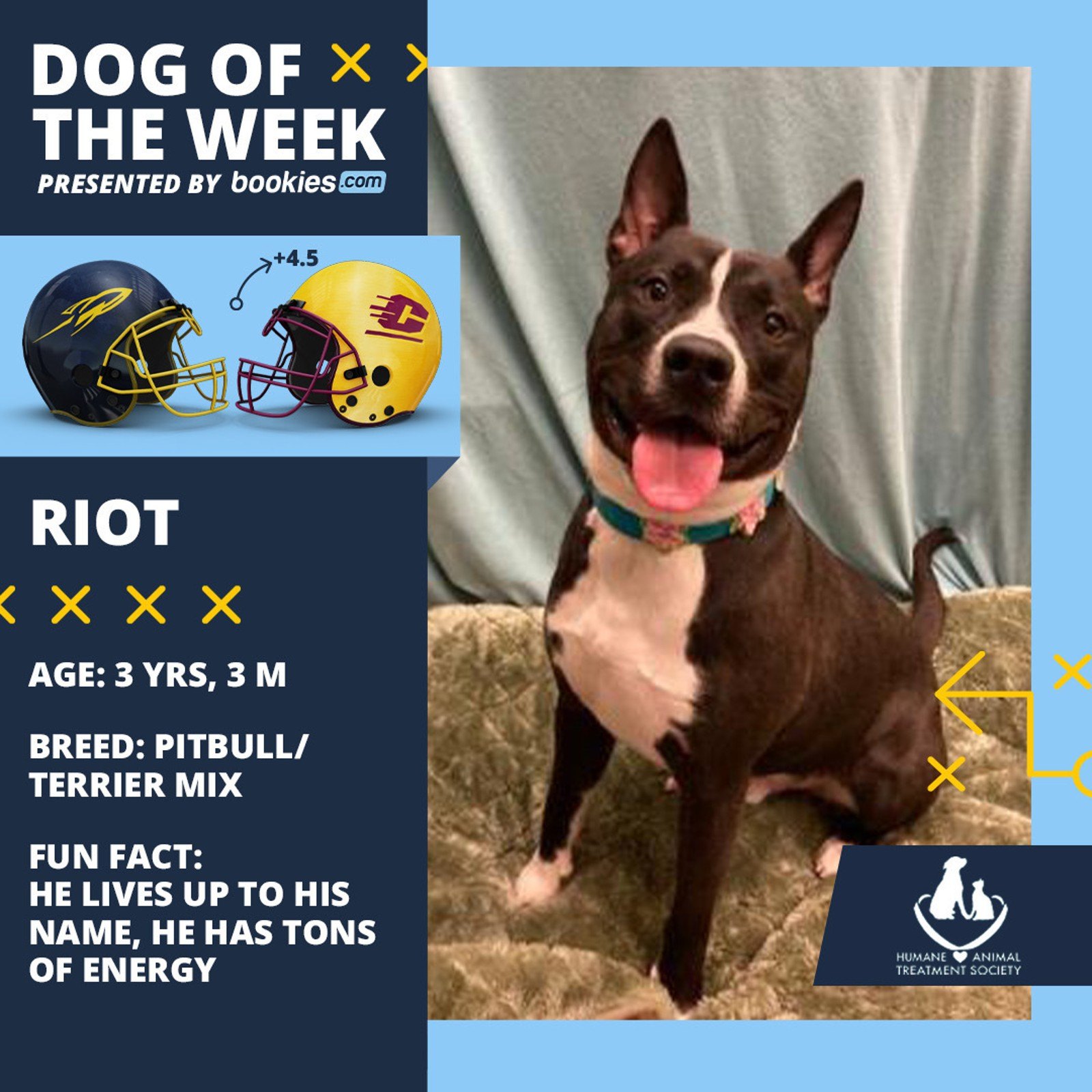 College Football Dog Of The Week: Central Michigan & 'Riot'