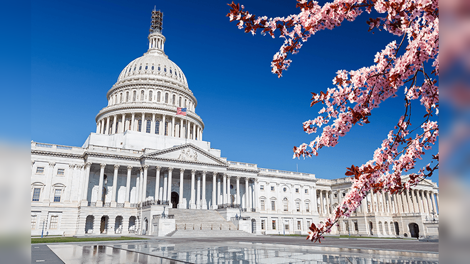 Will Political Betting Ever be Legal In America?