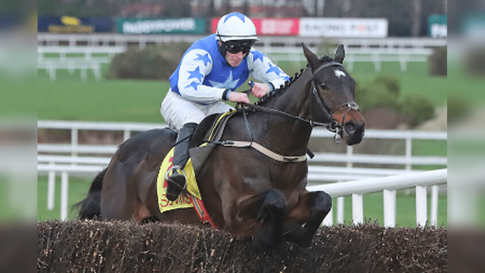 Race On To Get Gold Cup Favourite Kemboy To Leopardstown