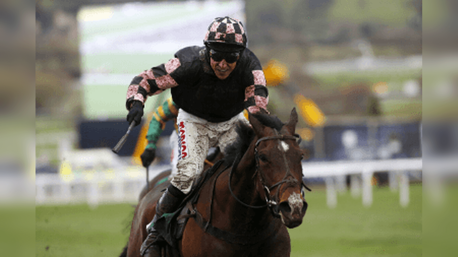 County Hurdle Trends For The 2026 Cheltenham Festival