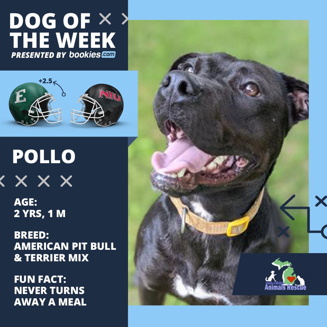 College Football Dog Of The Week: Eastern Michigan & ‘Pollo’