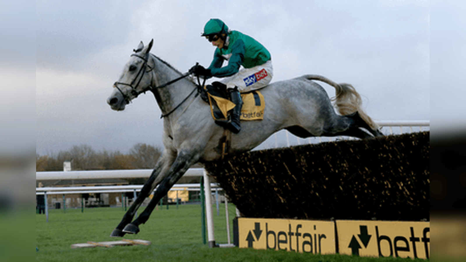 Betfair Chase Trends and Runner-by-Runner Guide
