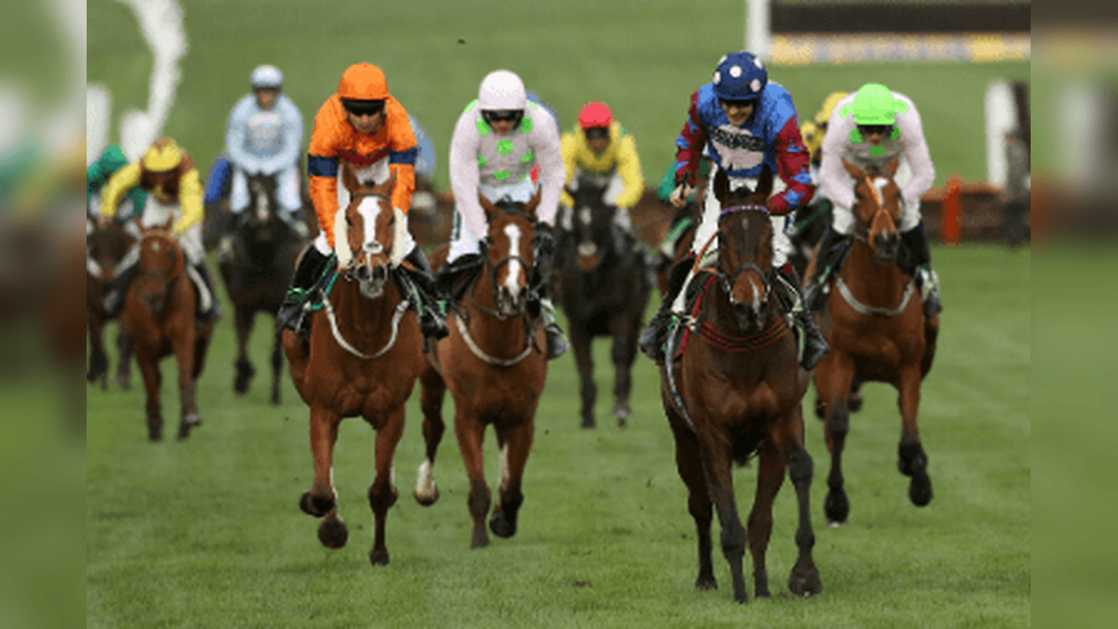Stayers' Hurdle Trends For The 2026 Cheltenham Festival