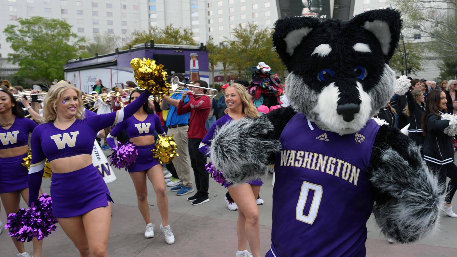 College Football 2024 Week 6 Odds, Predictions, Other Bets To Make Today