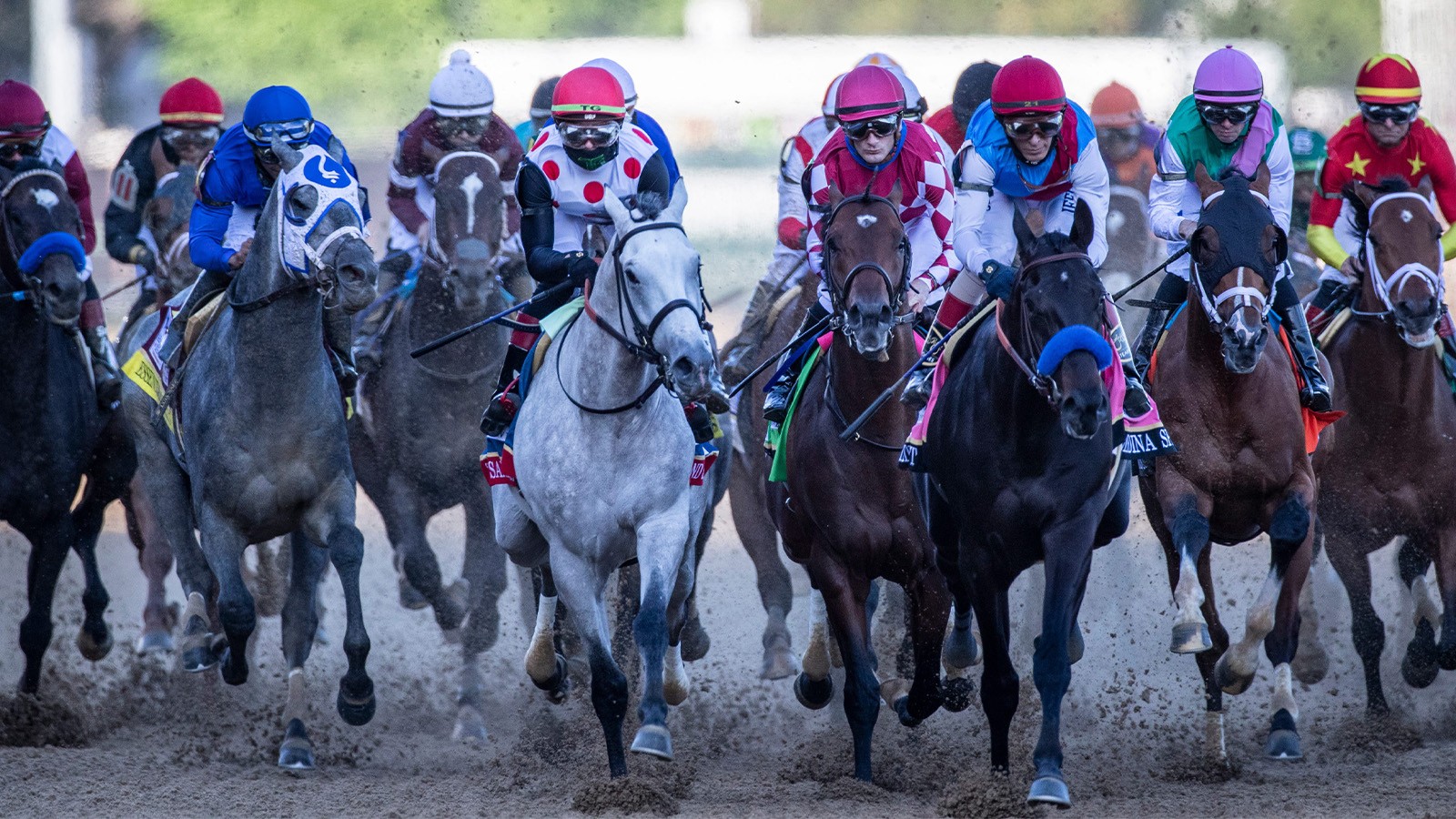 Bettors Biggest Losers If Kentucky Derby Winner Disqualified