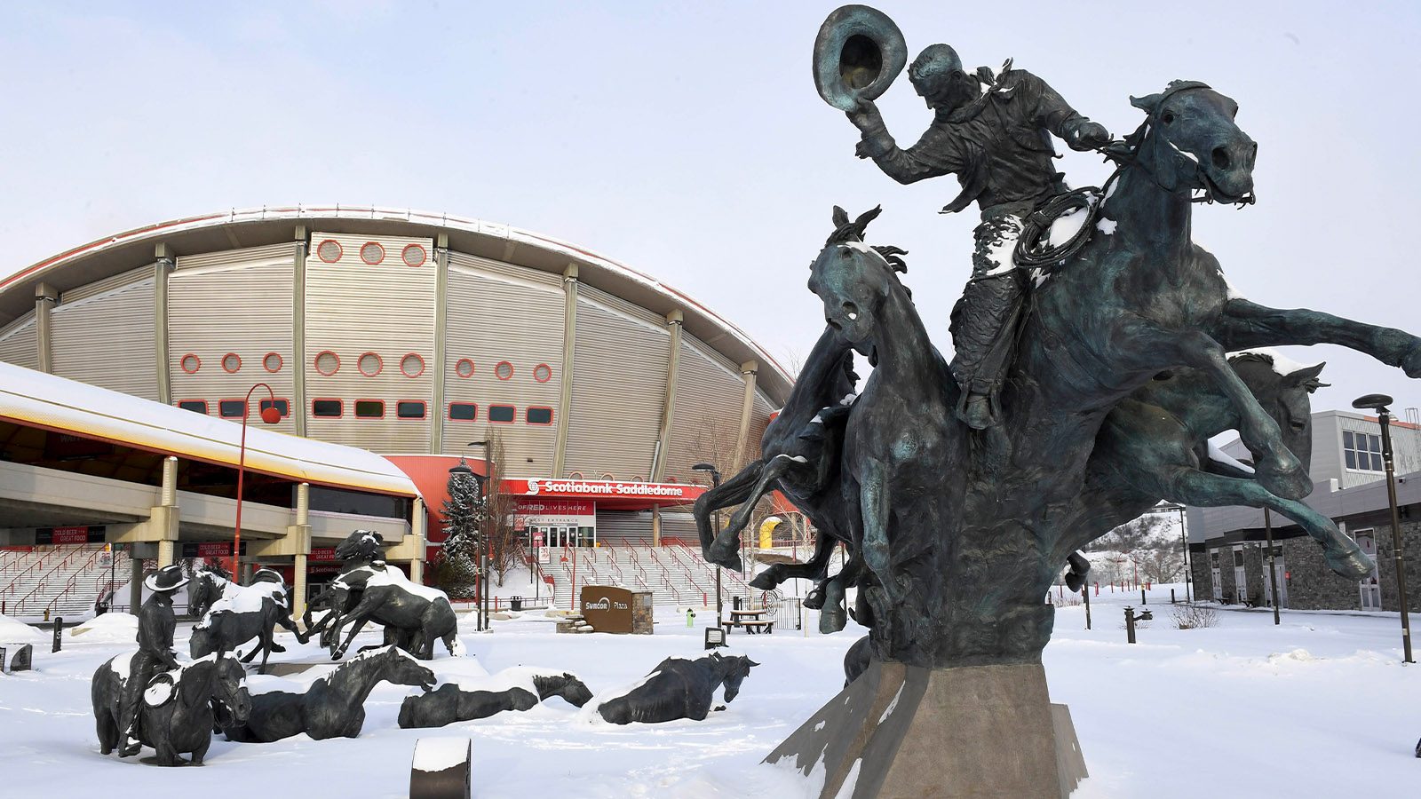 When Will Professional Sports Return From Coronavirus Delay?