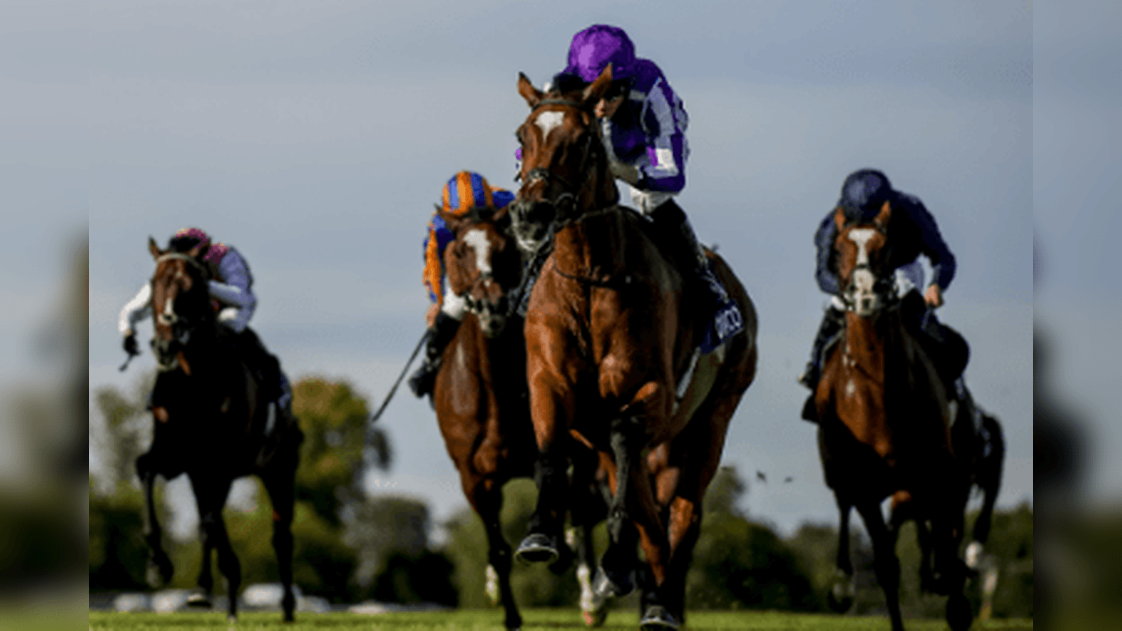 Magical Hardens As Champion Stakes Fav After Japan News