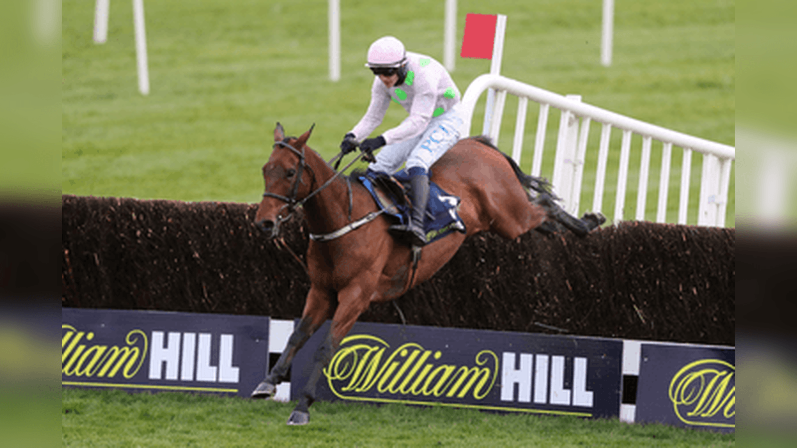 Tingle Creek Chase Trends and Runner-by-Runner Guide