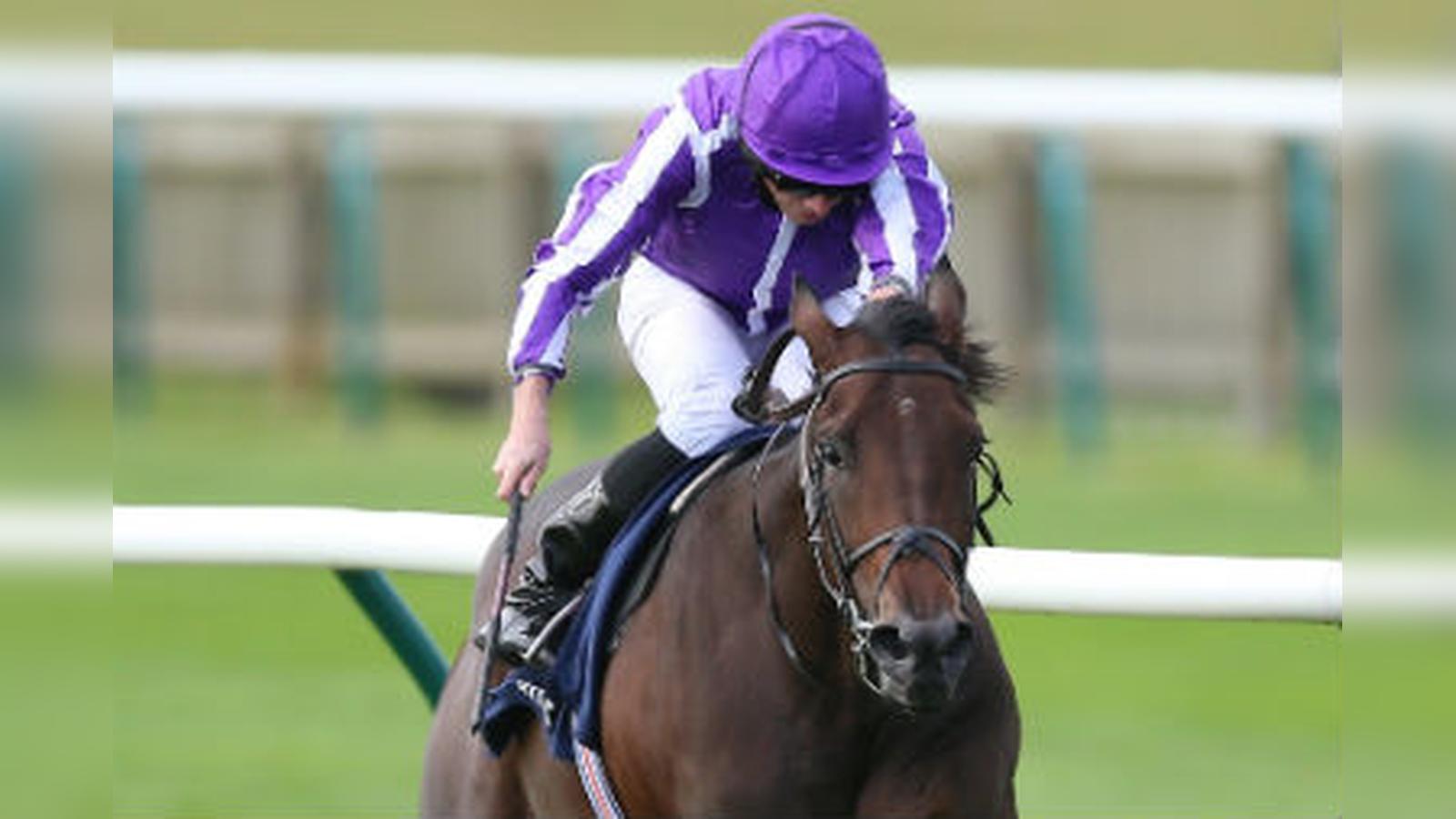 Coolmore Show Faith in Supplementary Dewhurst Entry Wichita