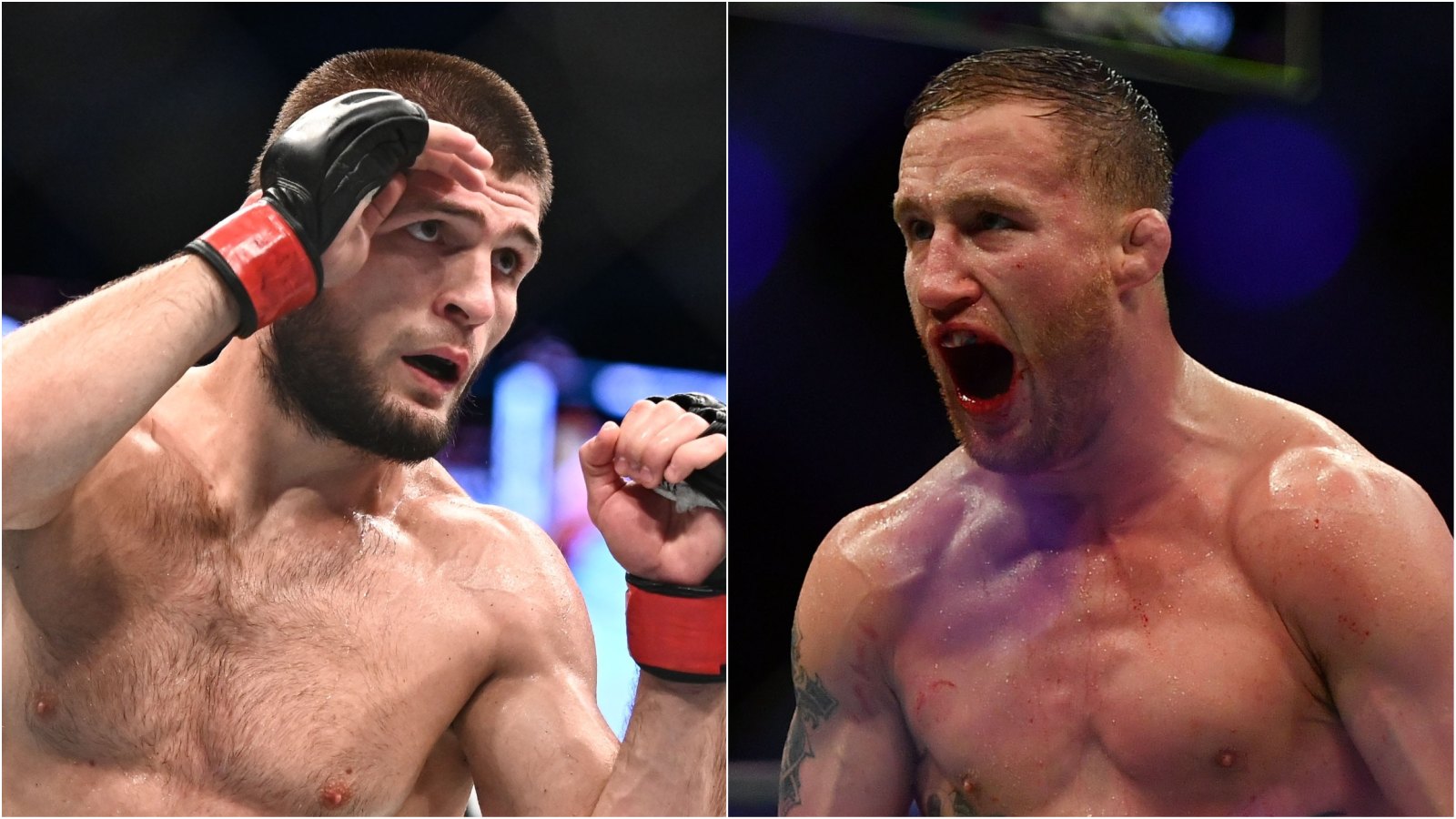 Khabib vs Gaethje UFC 254 Odds, Picks & Predictions To Back