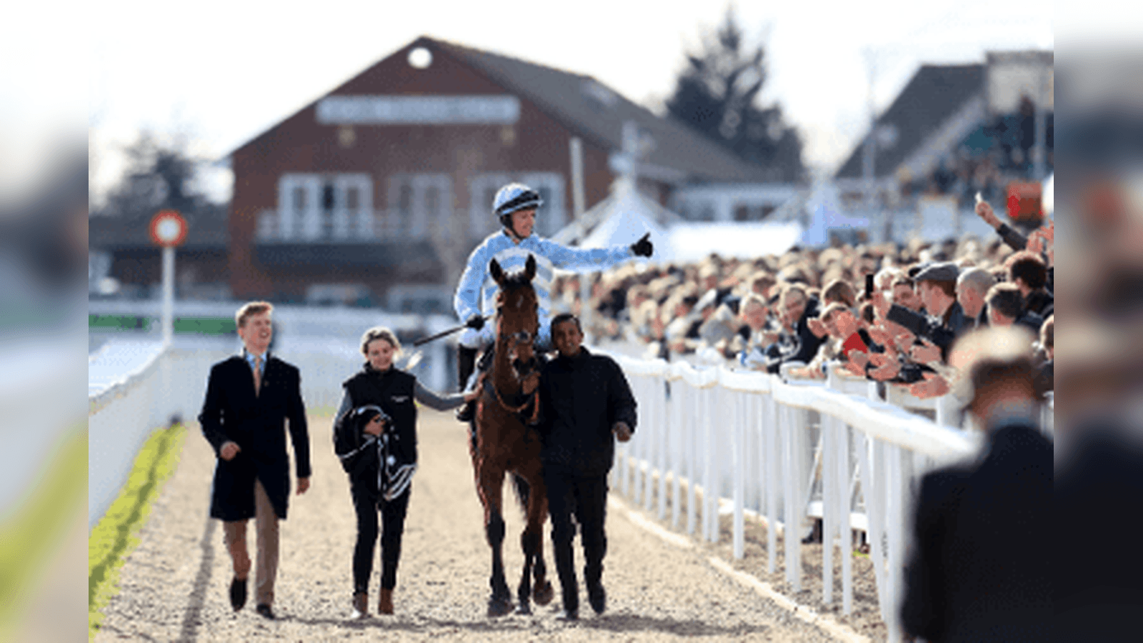 Supreme Novices' Hurdle Trends for the 2026 Cheltenham Festival