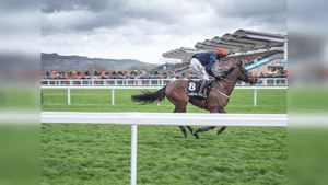 Lincoln Handicap Trends, Tips & Betting Analysis